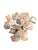 Petrified Wood Rough Specimens | Bulk Rock Tumbling Rough - Petrified Wood