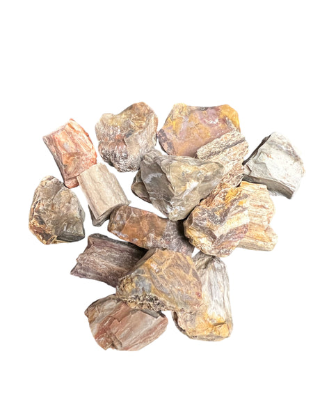 Petrified Wood Rough Specimens | Bulk Rock Tumbling Rough - Petrified Wood