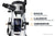 Celestron Starsense Explorer Lt 114Az (22452) - All-Star Telescope Canada - For All Things Astro, Binoculars, And Science | Celestron Starsense Explorer LT 114AZ (22452)
