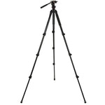 Celestron Regal Premium Tripod (82052)