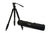 Celestron Regal Premium Tripod (82052) - All-Star Telescope Canada - For All Things Astro, Binoculars, And Science | Celestron Regal Premium Tripod (82052)