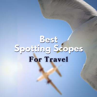 Best Spotting Scopes for Travel