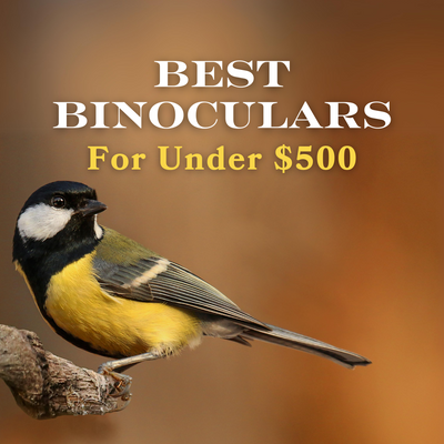 Best Binoculars Under $500