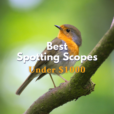 Best Spotting Scopes Under $1000