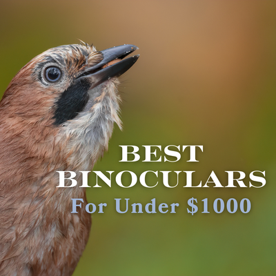 Best Binoculars Under $1000