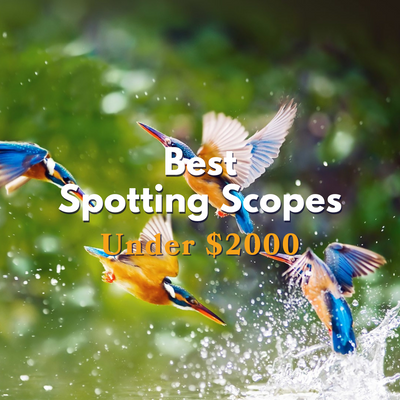 Best Spotting Scopes Under $2000