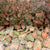 Bulk Rock Tumbling Rough - Unakite | Bulk Rock Tumbling Rough - Unakite