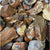 Bulk Rock Tumbling Rough - Royal Savannah Jasper | Bulk Rock Tumbling Rough - Royal Savannah Jasper