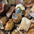 Bulk Rock Tumbling Rough - Royal Savannah Jasper | Bulk Rock Tumbling Rough - Royal Savannah Jasper
