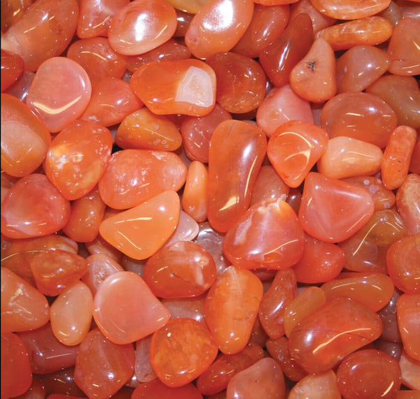 Bulk Rock Tumbling Rough - Carnelian Agate | Bulk Rock Tumbling Rough - Carnelian Agate