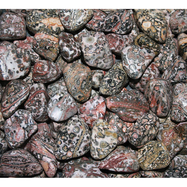 Bulk Rock Tumbling Rough - Leopard Skin | Bulk Rock Tumbling Rough - Leopard Skin