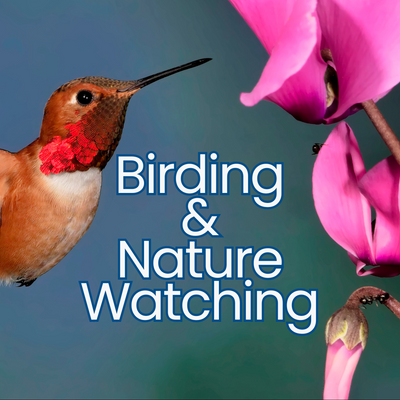 Birding and Nature Watching