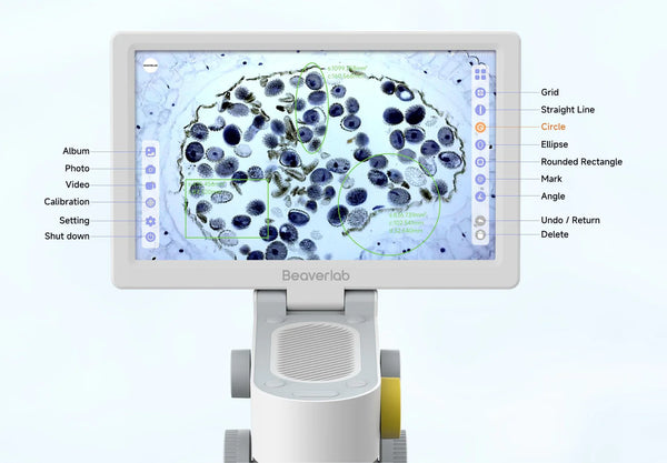 BeaverLab Darwin MX Digital Microscope | BeaverLab Darwin MX Digital Microscope